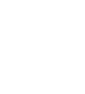 龍虎